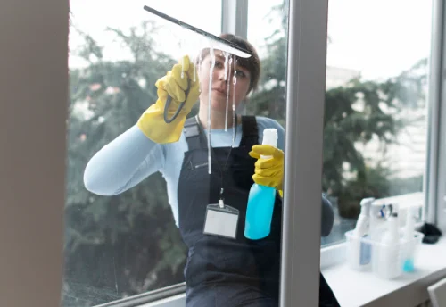 Nettoyage de vitres intérieures et extérieures au Plessis-Grohan